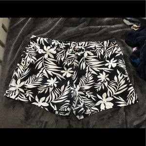 Faded Glory Short Shorts